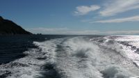 Neuseeland Südinsel - Fjordland Nationalpark - Tasman Sea