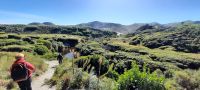 Neuseeland Südinsel - Genießertag an der Golden Bay - Wanderung
