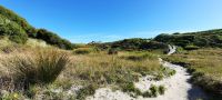Neuseeland Südinsel - Genießertag an der Golden Bay - Wanderung zum wohl schönsten Strand