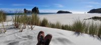 Neuseeland Südinsel - Genießertag an der Golden Bay - Wharariki Beach