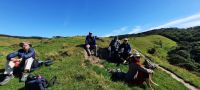 Neuseeland Südinsel - Genießertag an der Golden Bay - Picknick