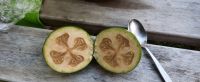 Neuseeland Südinsel - Golden Bay - Collingwood - Eberhardt  BBQ - lecker Feijoas