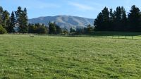 Neuseeland Südinsel - Mackenzie Land = Farmland