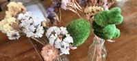 Neuseeland Südinsel - Methven - Frohe Ostern