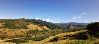 Neuseeland Südinsel - Motueka Valley