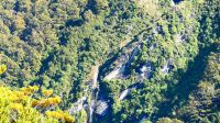 Neuseeland Südinsel - Mt. Aspiring Nationalpark - Wanderung durch den Regenwald