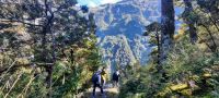 Neuseeland Südinsel - Mt. Aspiring Nationalpark - Wanderung durch den Regenwald
