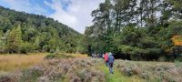 Neuseeland Südinsel - Murchison - Wanderung zu den Natural Flames