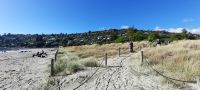 Neuseeland Südinsel - Nelson - Tahunanui Beach