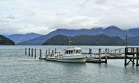 Neuseeland Südinsel - Neuseeland Südinsel - private Eberhardt Kreuzfahrt durch den Kenepuru Sound