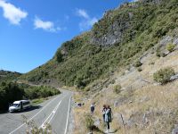 Neuseeland Südinsel - Scenic Drive zwischen Abel Tasman und Kahurangi Nationalpark