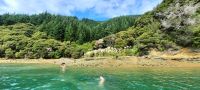 Neuseeland Südinsel - ein Bad im glasklaren Kenepuru Sound