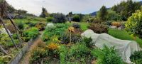 Neuseeland Südinsel - im Garten Eden bei Bernd