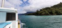 Neuseeland Südinsel - private Eberhardt Kreuzfahrt durch den Kenepuru Sound