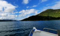 Neuseeland Südinsel - private Eberhardt Kreuzfahrt durch den Kenepuru Sound