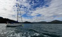Neuseeland Südinsel - private Eberhardt Kreuzfahrt durch den Kenepuru Sound