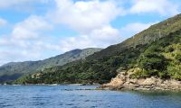 Neuseeland Südinsel - private Eberhardt Kreuzfahrt durch den Kenepuru Sound