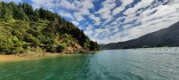 Neuseeland Südinsel - private Eberhardt Kreuzfahrt durch den Kenepuru Sound