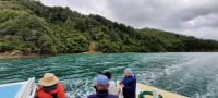 Neuseeland Südinsel - private Eberhardt Kreuzfahrt durch den Kenepuru Sound