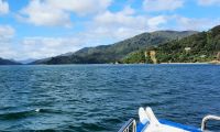 Neuseeland Südinsel - private Eberhardt Kreuzfahrt durch den Kenepuru Sound