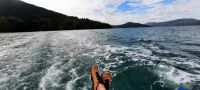 Neuseeland Südinsel - private Eberhardt Kreuzfahrt durch den Kenepuru Sound