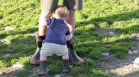 Neuseeland Südinsel - wie der Vater so der Sohnemann