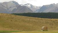 Neuseeland