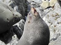 Neuseeland