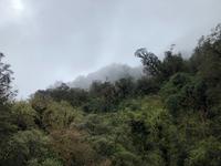 Neuseeland