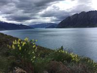 Neuseeland