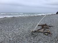 Neuseeland