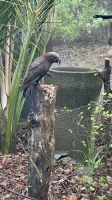 Nga Manu Nature Reserve