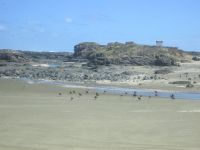Ninety Mile Beach