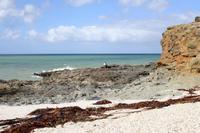 Ninety Mile Beach