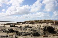Ninety Mile Beach