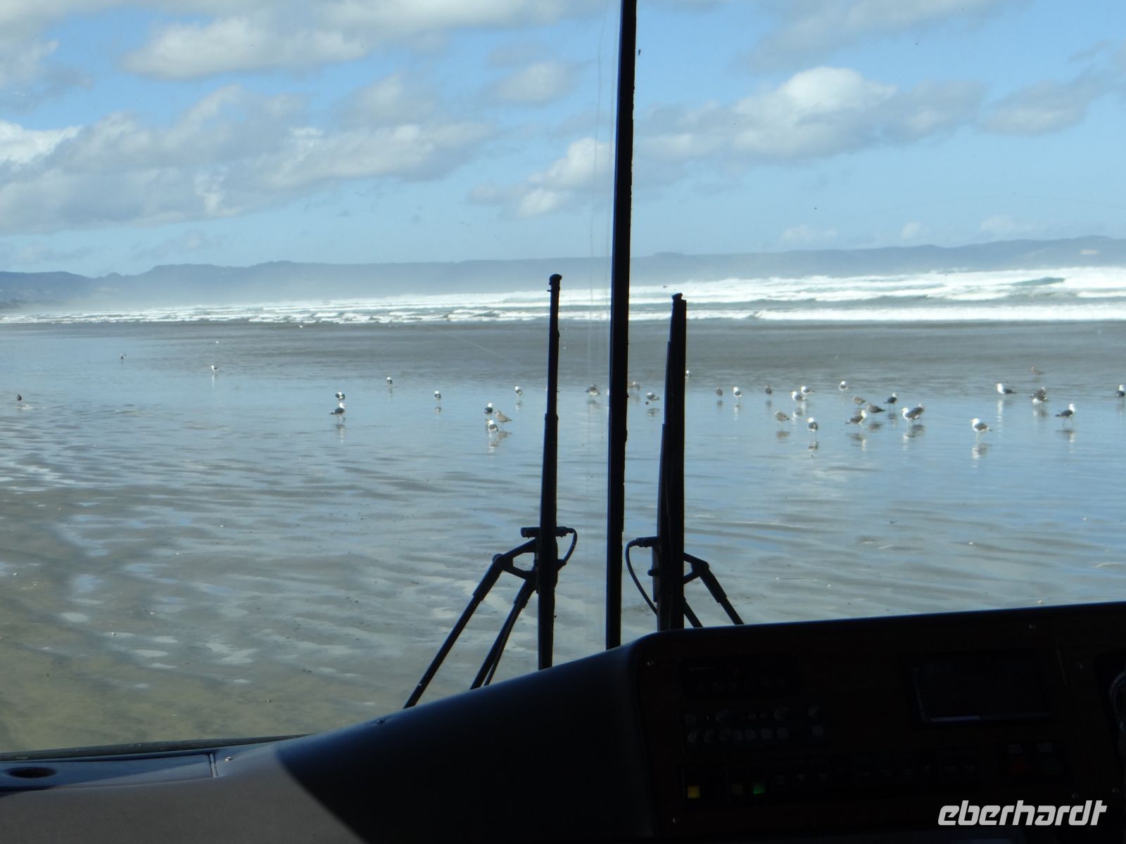 Ninety Miles Beach, mit dem Bus auf den Strand, da wundern sich die Möwen.