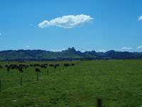 Ohakune - Rotorua