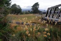 Ohakune