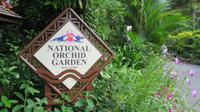 Orchideen Garten