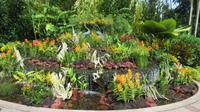 Orchideen Garten