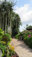 Orchideen Garten