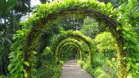 Orchideen Garten