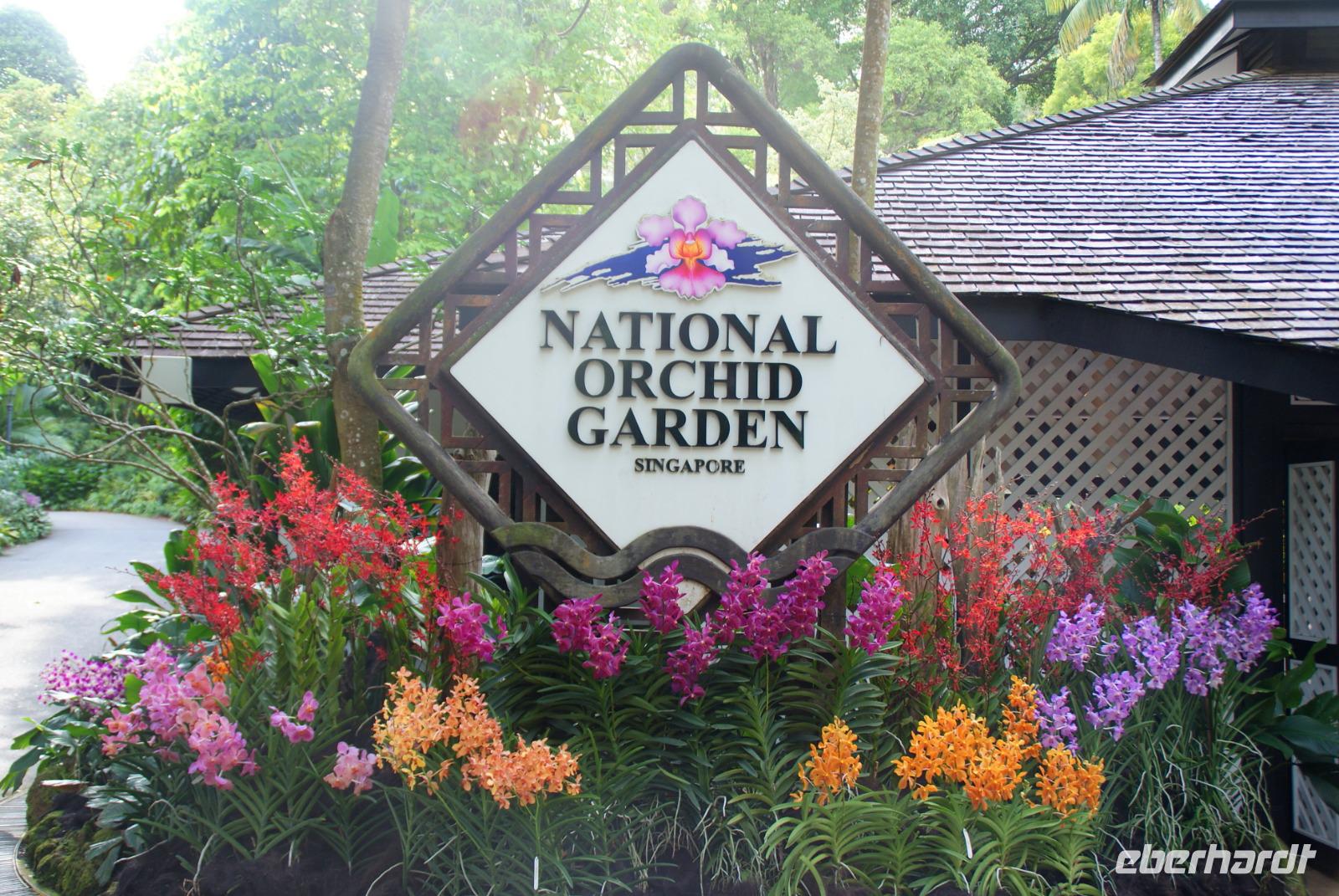Orchideengarten Singapur (7)