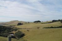 Otago Halbinsel 