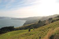 Otago Halbinsel