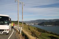 Otago Halbinsel