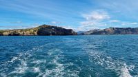 Otago Halbinsel