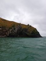 Otago Halbinsel