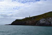 Otago-Halbinsel - Albatross-Beobachtung