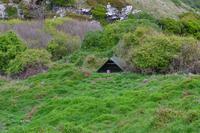 Otago-Halbinsel - Pinguin-Aufzuchtstation Penguin Place